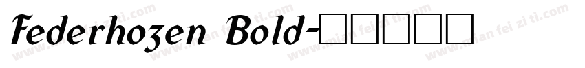 Federhozen Bold字体转换